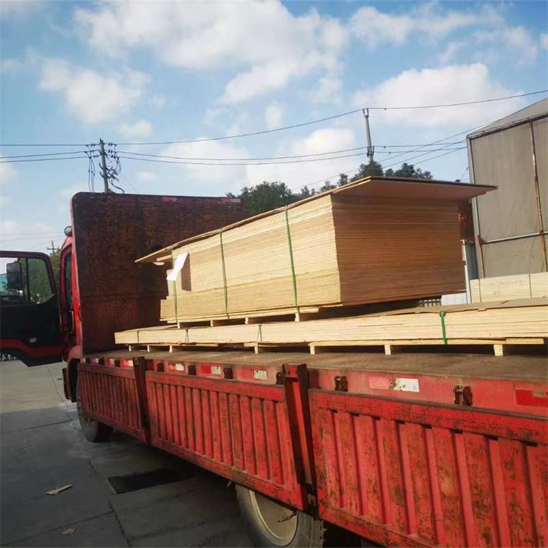 揭阳到河北物流公司——一站式服务，让货运更便捷